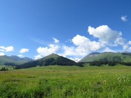 Naraty Grassland